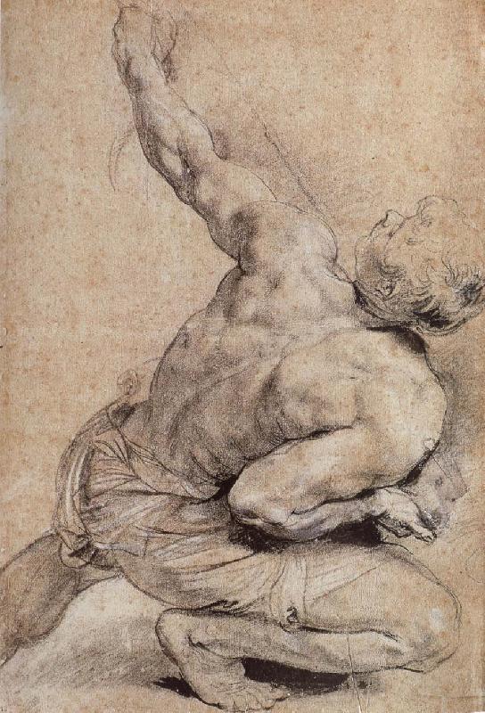Peter Paul Rubens Pencil sketch of man-s back china oil painting image